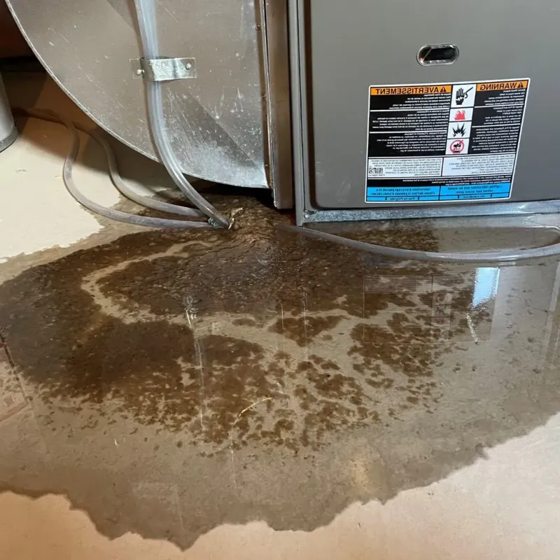 Pipe Burst and Leak Restoration in Severn, MD